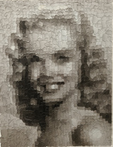 Young Marilyn 14